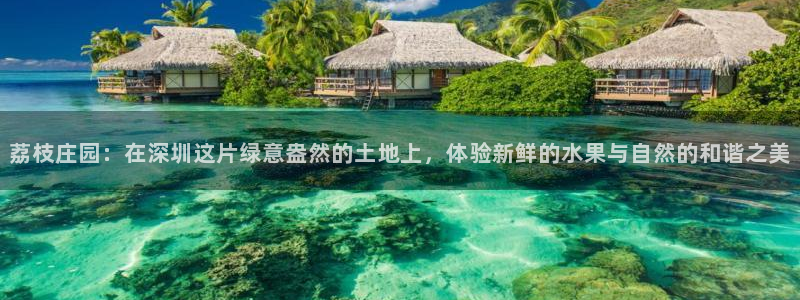 天辰娱乐网