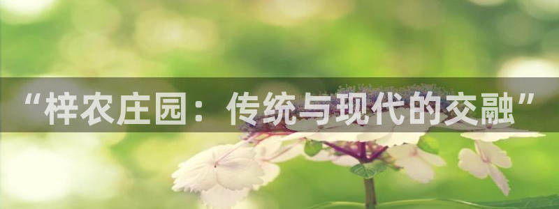 天辰娱乐挂机