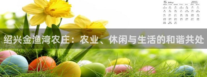 天辰娱乐60447