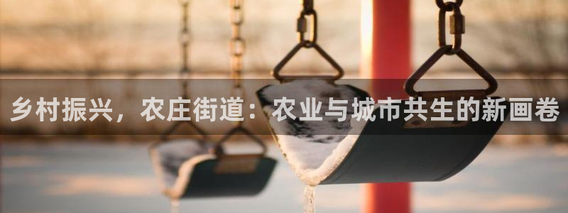 天辰娱乐输了