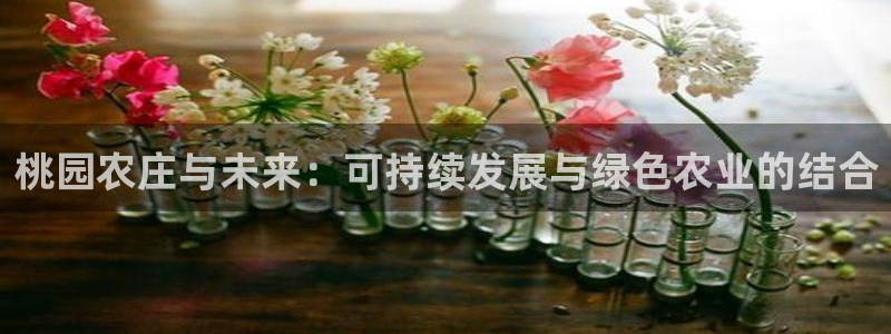 天富娱乐与天辰娱乐