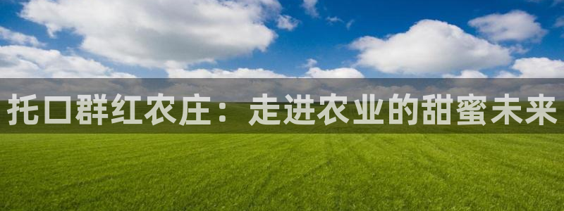 天辰娱乐分红