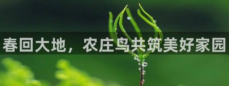 天辰娱乐60447