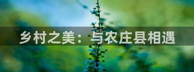 天辰娱乐厕所