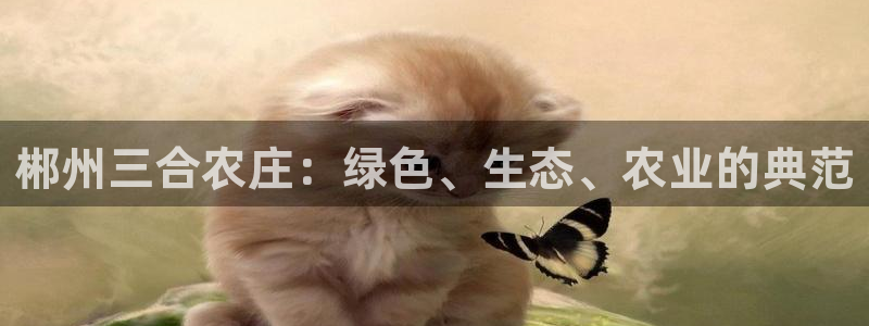 天辰辰娱乐代理