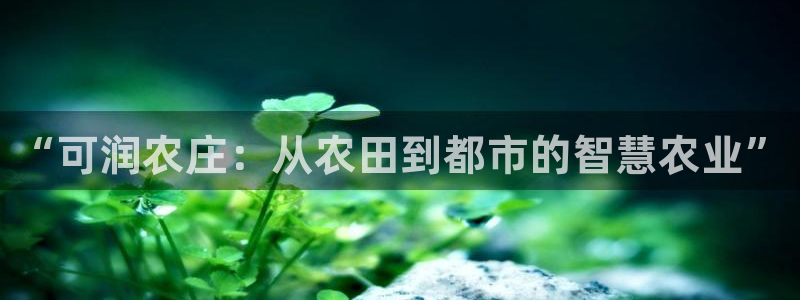 天辰娱乐557448