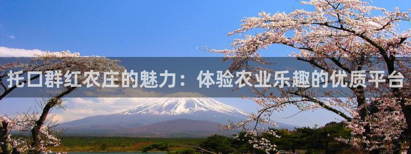 天辰娱乐卡