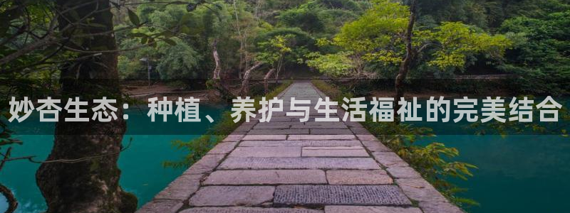 天辰娱乐传媒