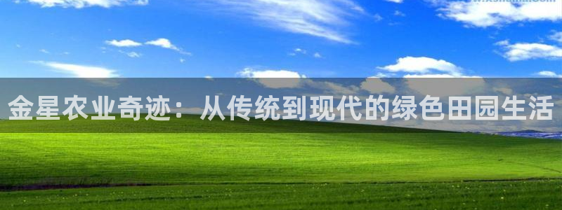 天辰娱乐服务