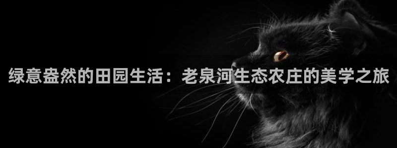 天辰臣娱乐