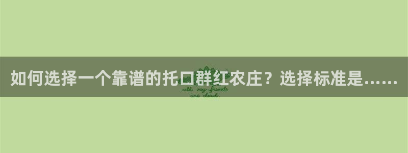 天辰娱乐小姐
