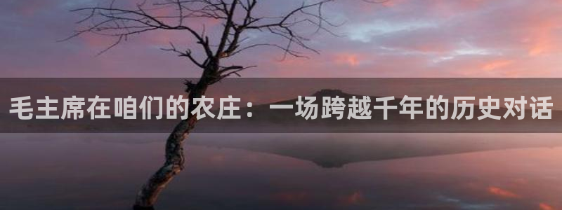 天辰娱乐51137