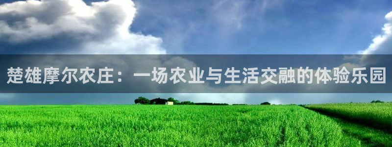 天辰娱乐新