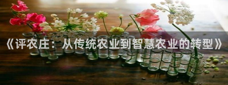 天辰娱乐1956