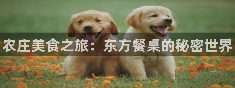 天辰娱乐电话
