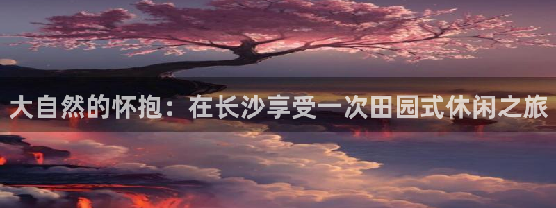 天辰娱乐网
