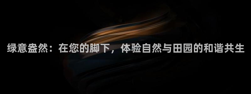 天辰娱乐厕所
