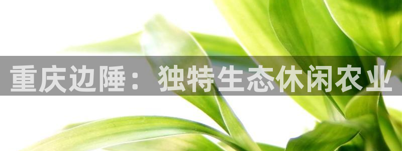 哈尔滨天辰娱乐