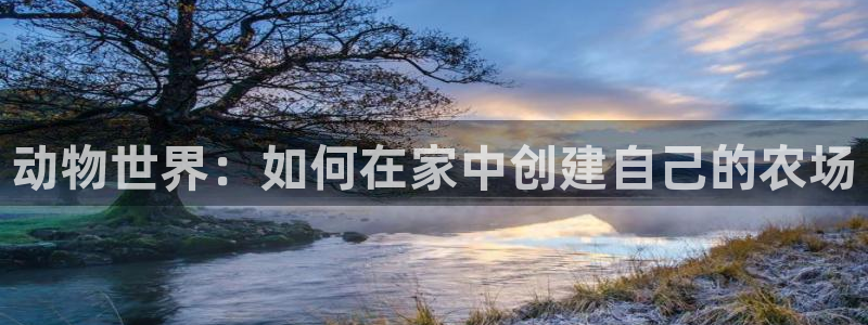 南充天辰娱乐