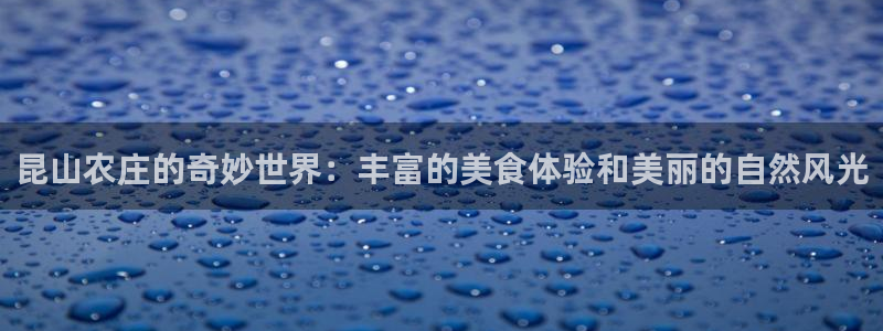 天辰娱乐主管