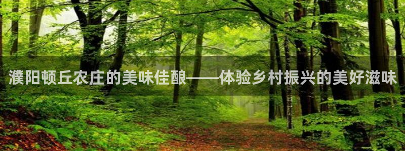 天辰娱乐简介