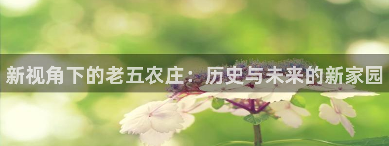天辰娱乐电话