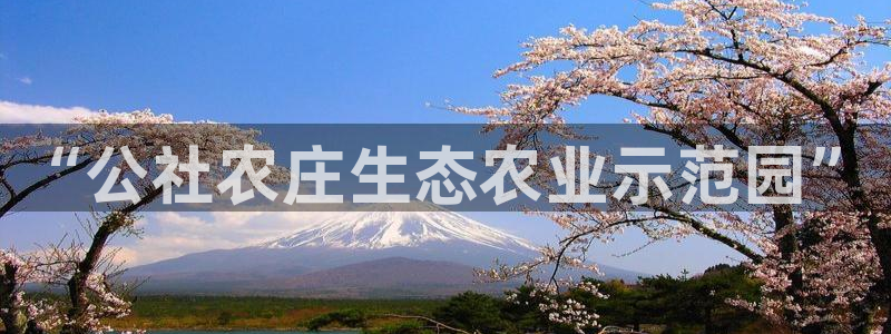 天辰娱乐的网址首页