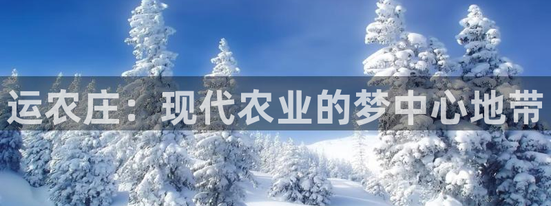 天辰娱乐招商