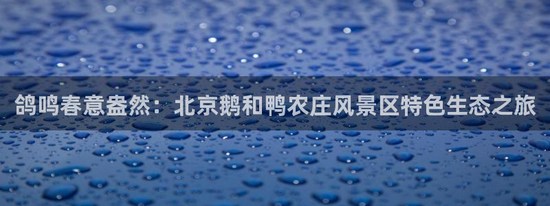 天辰娱乐赌博