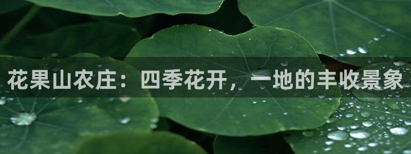 天辰娱乐文化
