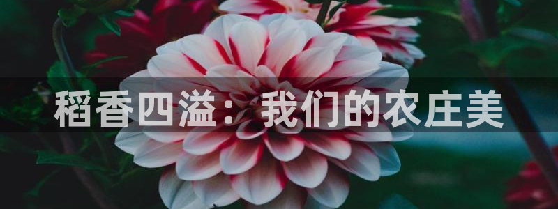 天辰娱乐1996