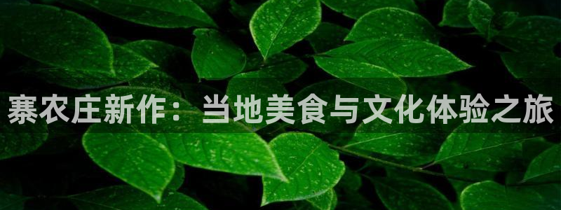天辰娱乐会员
