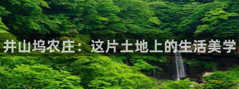 天辰娱乐扣钱