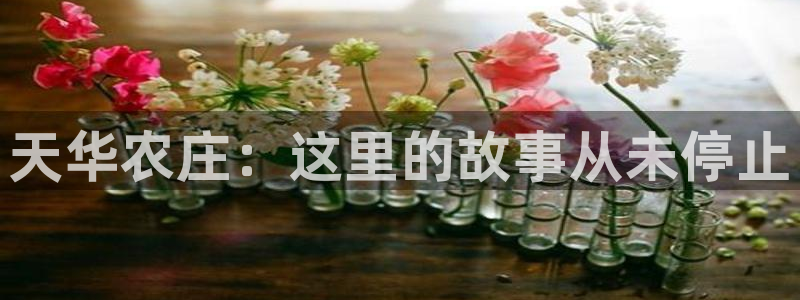 天辰娱乐鱼刺