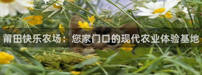天辰娱乐平台app下载