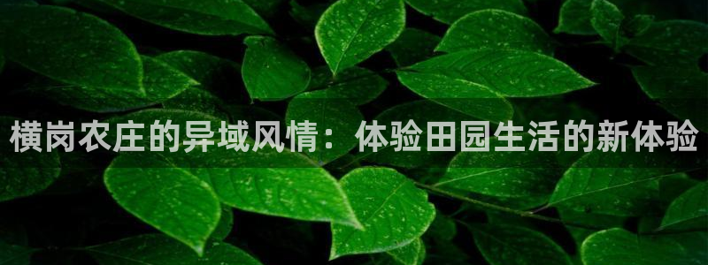 天辰娱乐总管年薪