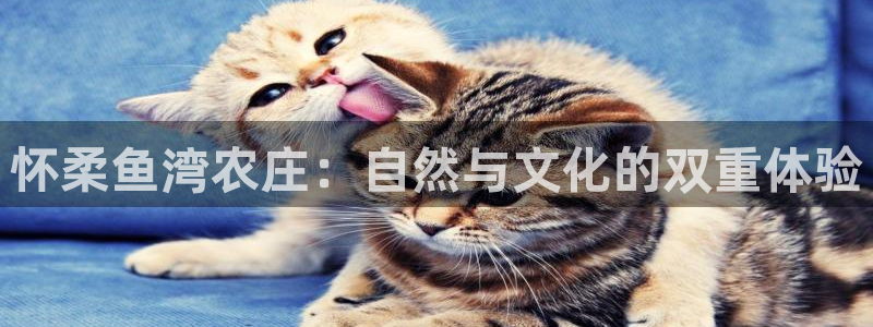 天辰娱乐娱乐
