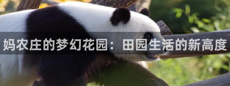 天辰娱乐平台地址在哪里