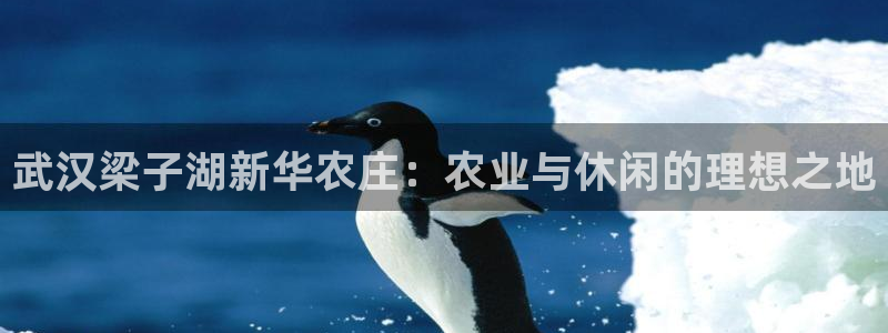 天辰娱乐首选