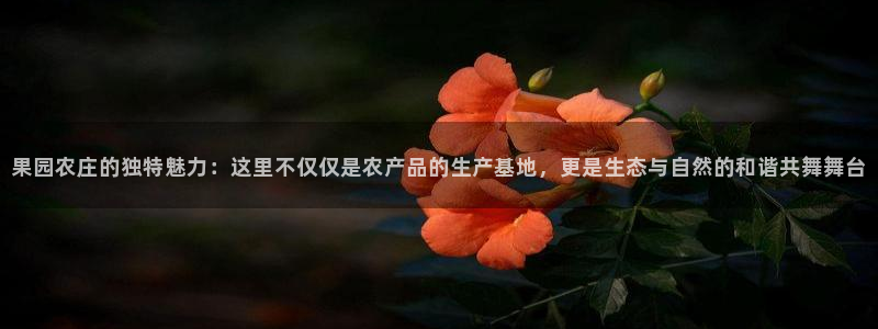 北京天辰娱乐