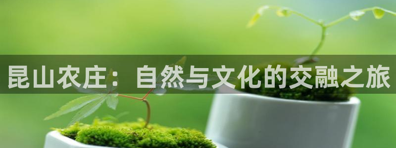 天辰娱乐ttf