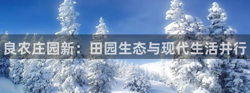 天辰娱乐代理