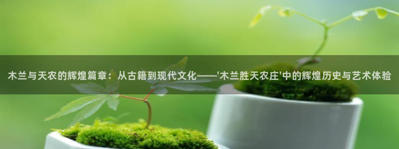 天辰宝宝娱乐