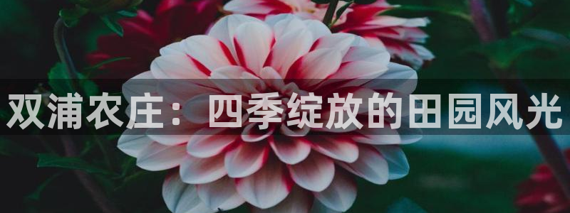 天辰娱乐彩票