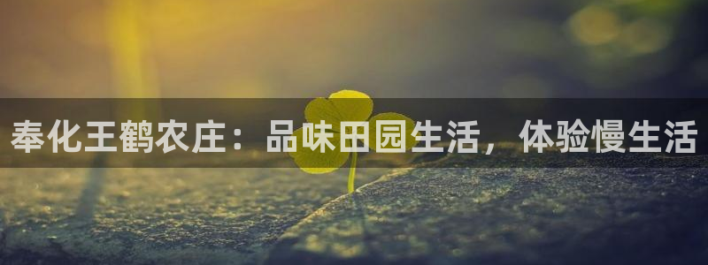 天辰说娱乐