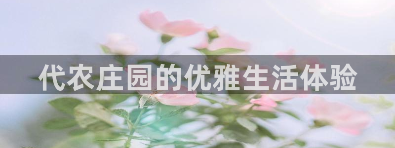 天辰辰娱乐代理