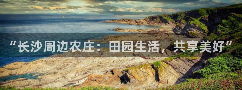 天辰娱乐网