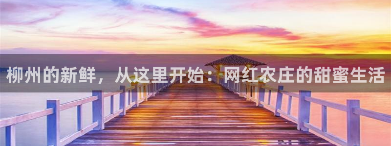 天辰娱乐分红