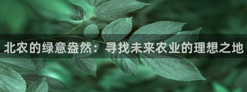 天辰 娱乐