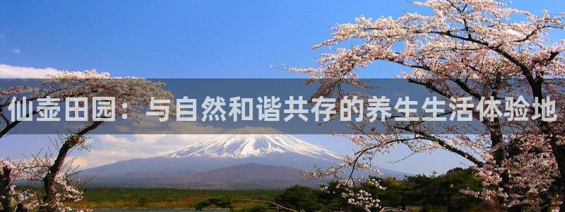 天辰娱乐总管年薪